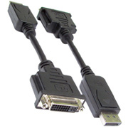DisplayPort Adapters & Converters